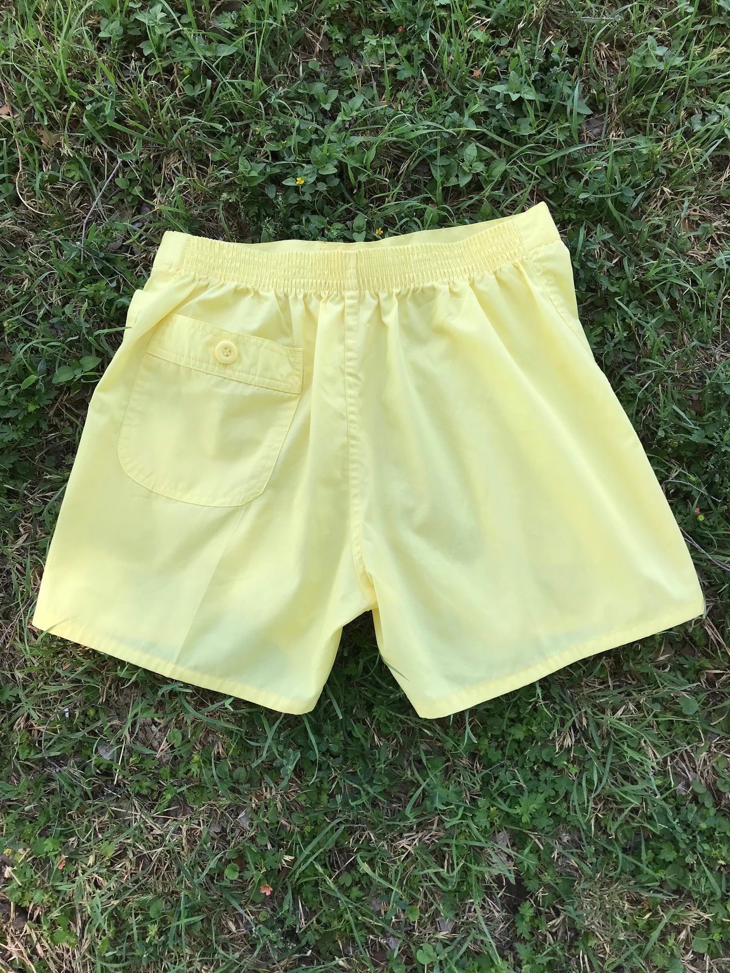 Weeds Surf & Skate Shorts