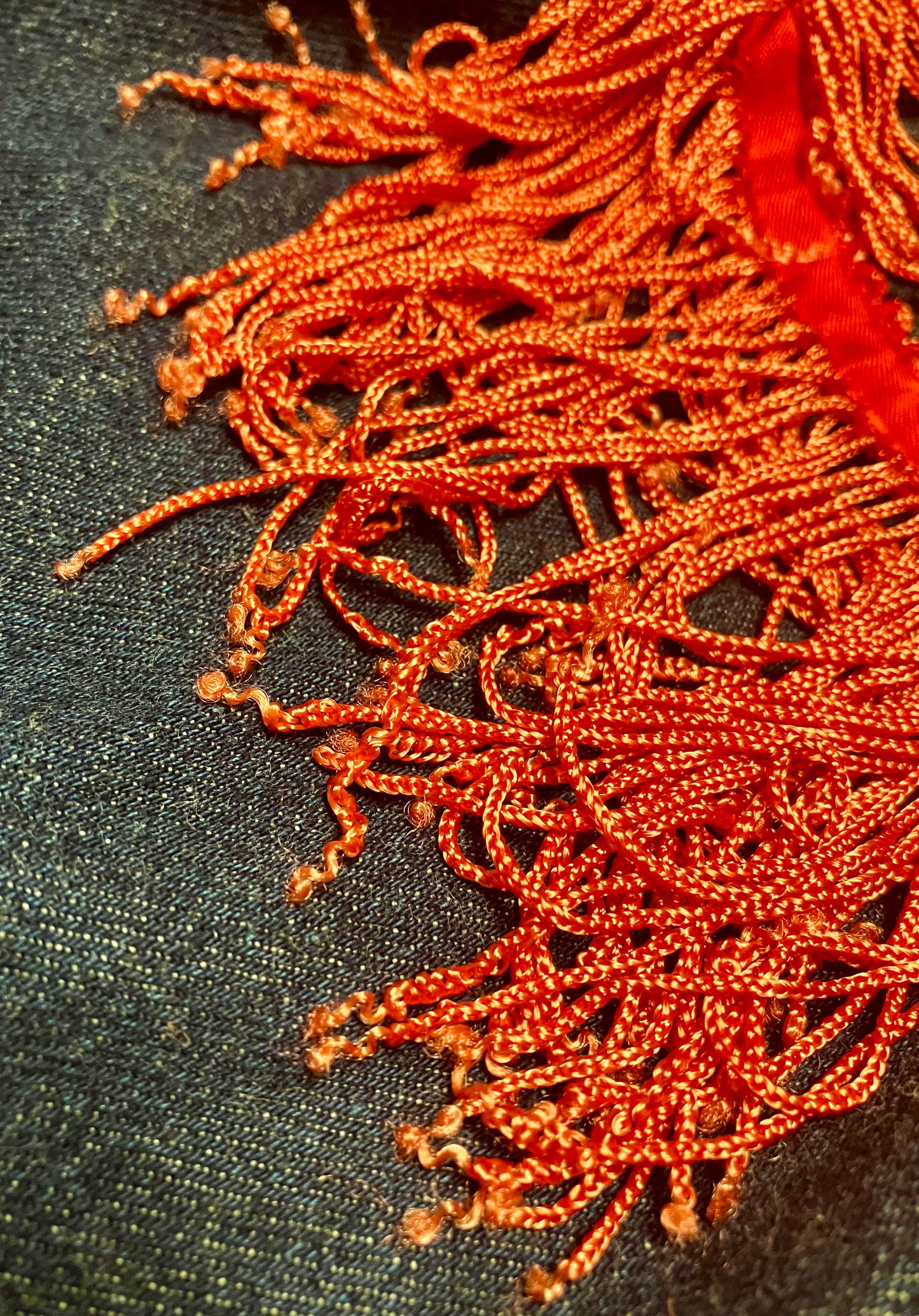 Petit Fors Fringe Pants