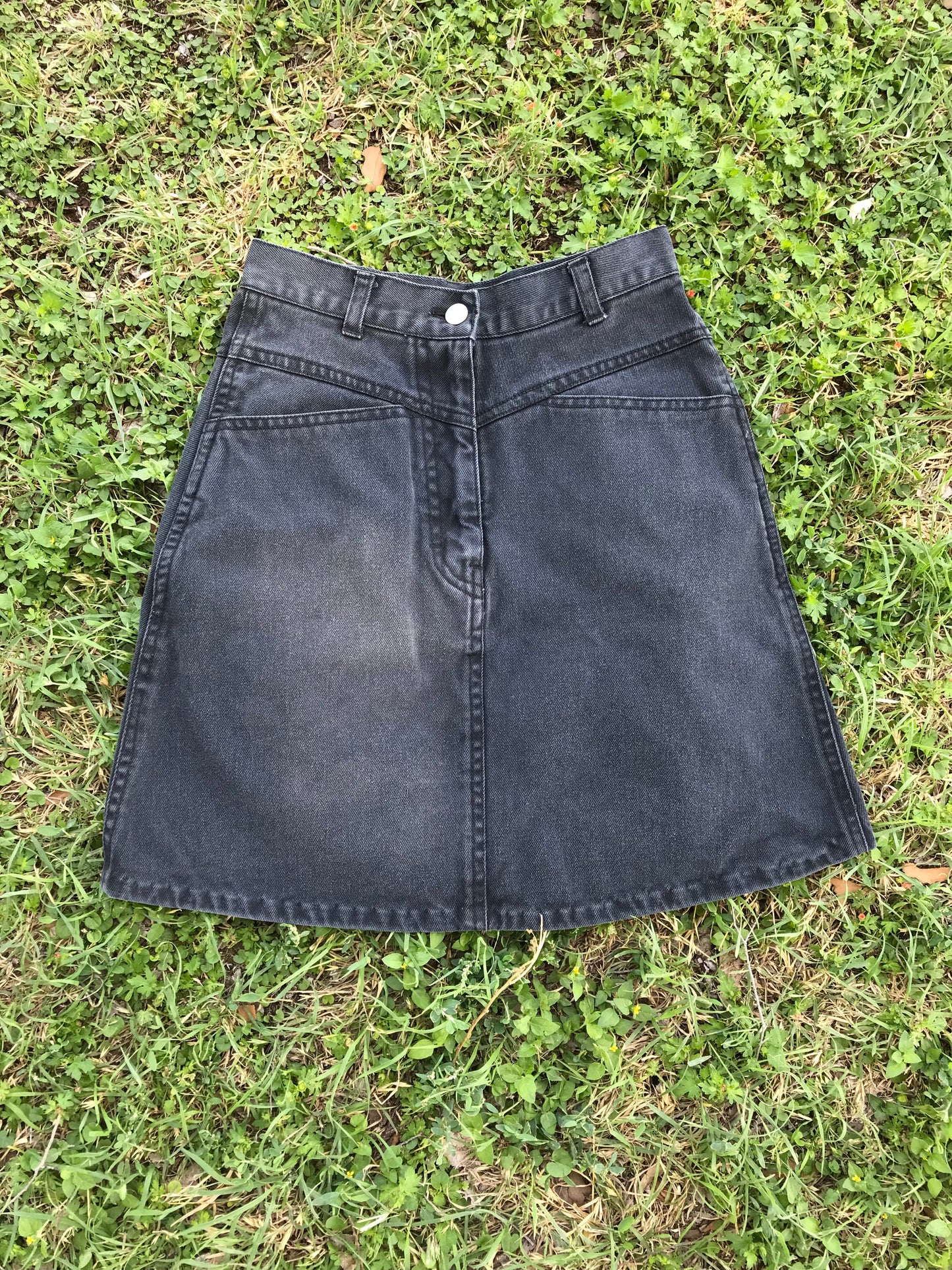 Foxtails Denim Skirt