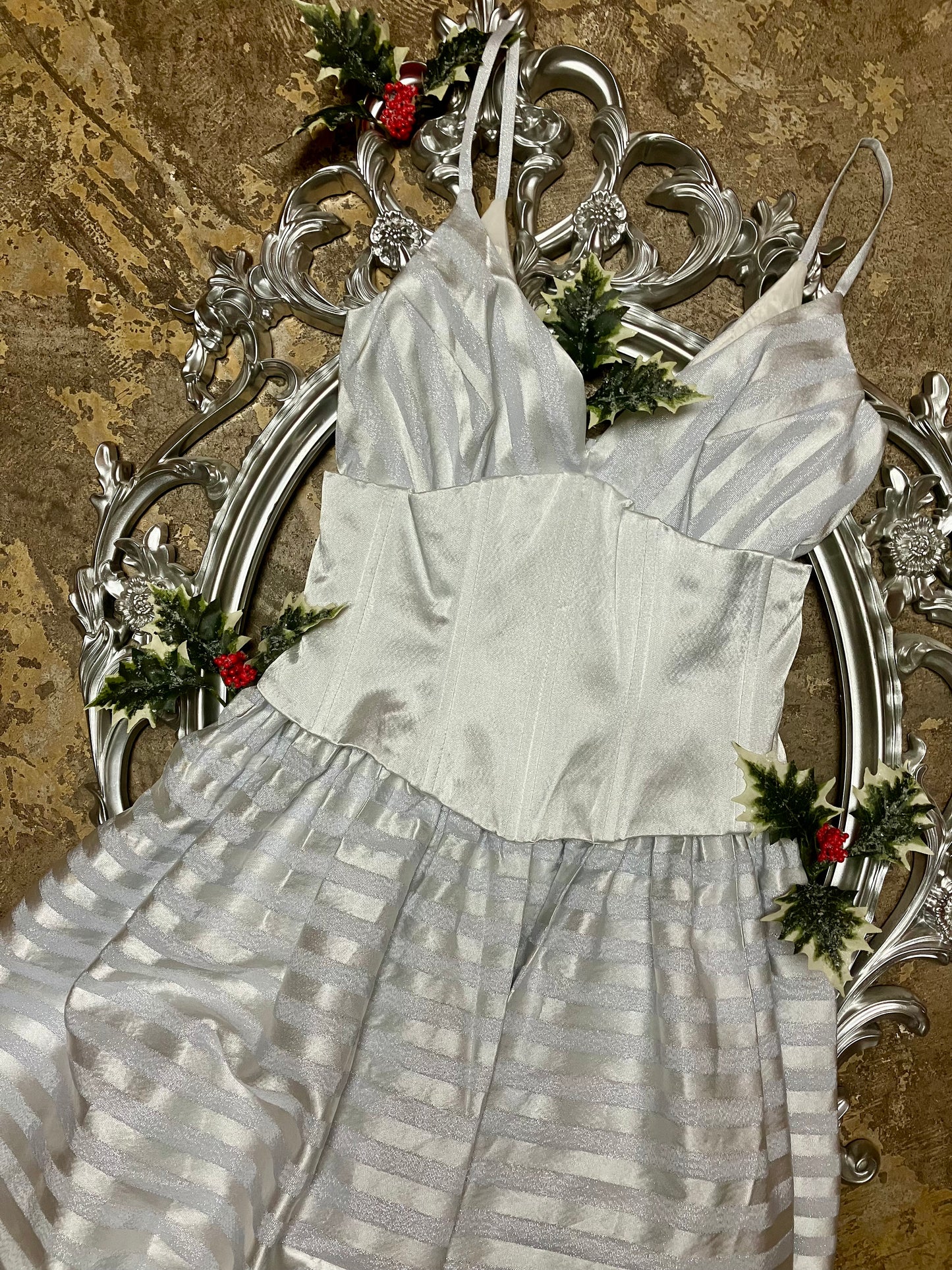 Sensational in Silver Scott McClintock Corset Gown