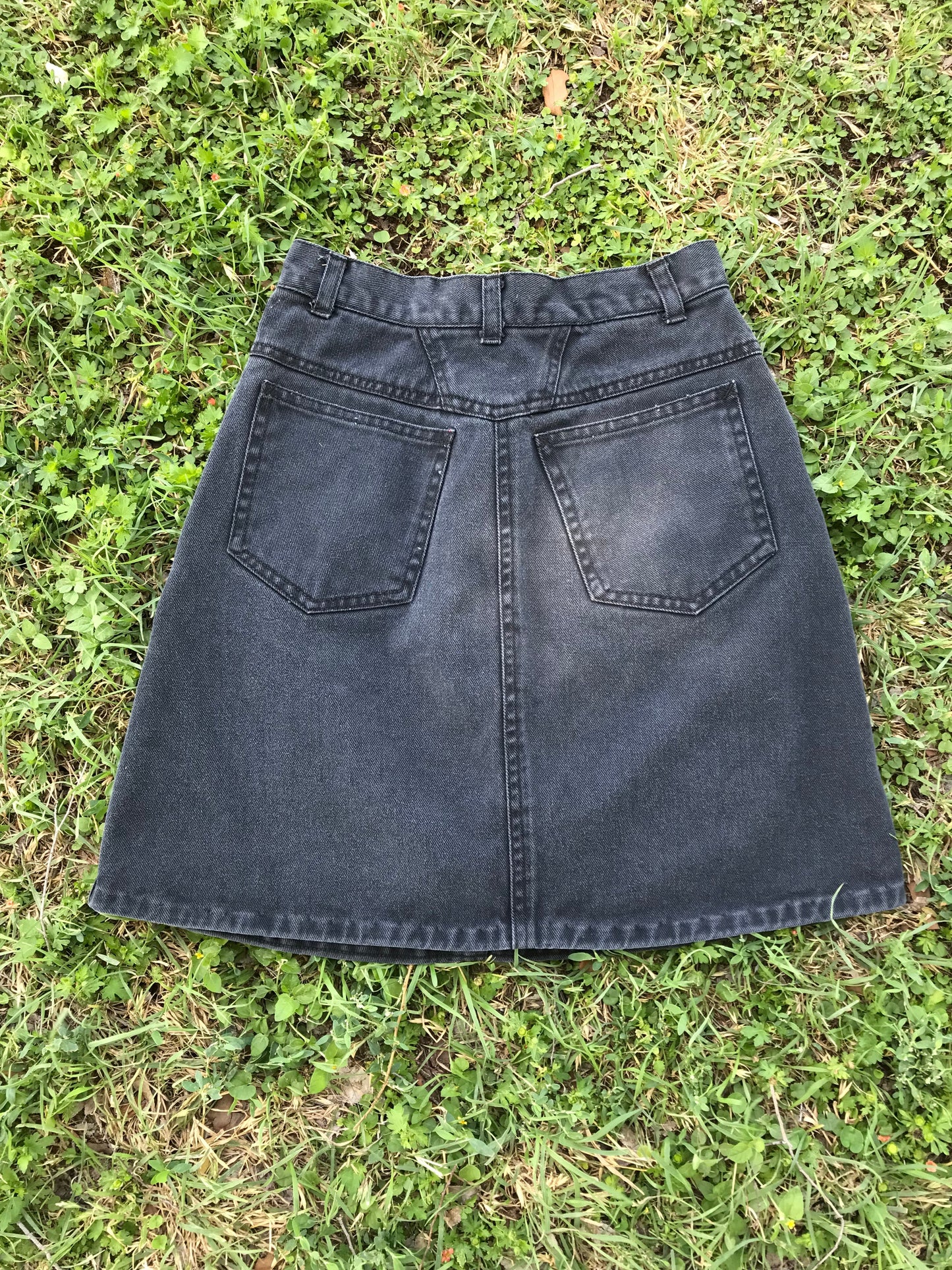 Foxtails Denim Skirt